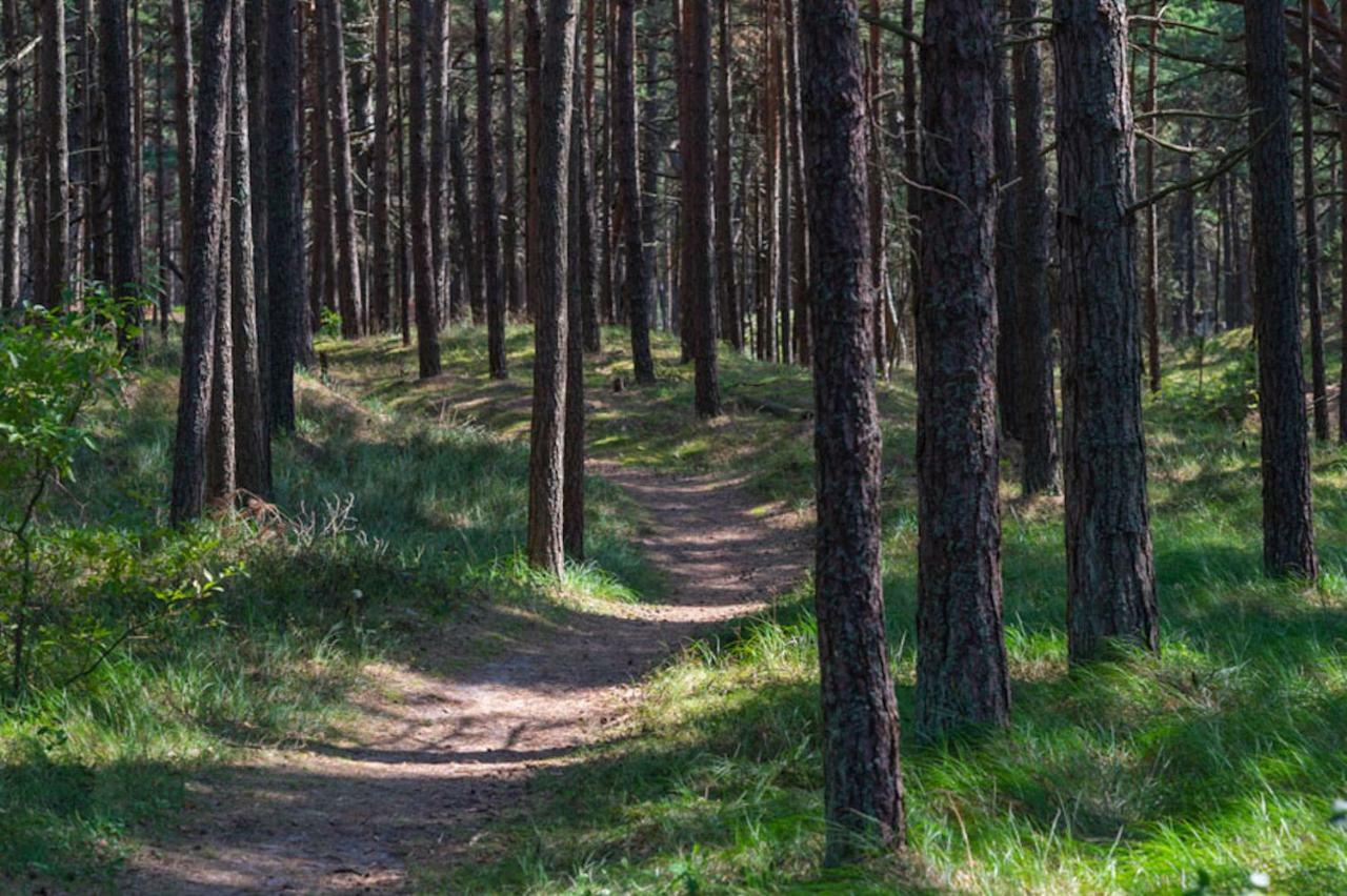 Villa Aido Palanga Dış mekan fotoğraf